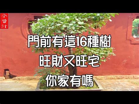 門前 種鐵樹